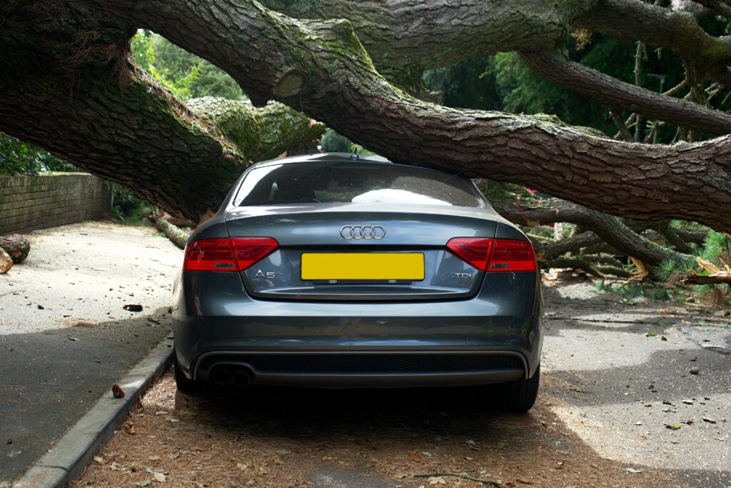 pexels-photo-5351112-5351112 An Audi A5 severely damaged by a fallen tree on a street in the UK.